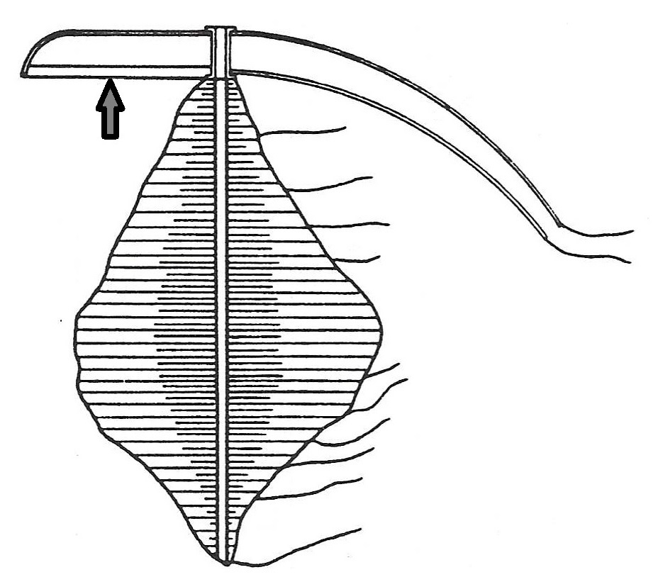 8-1\slika 8-1-6.jpg